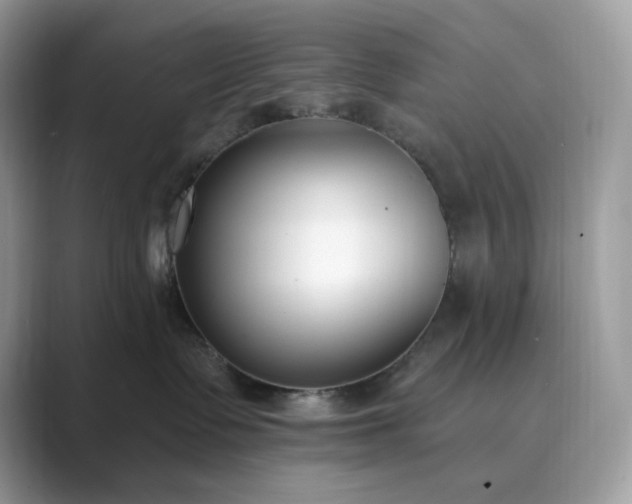 X0000089900335200707051312