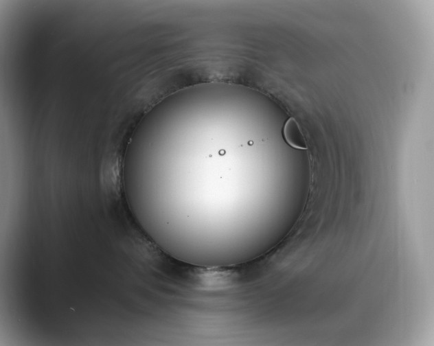X0000089900336200707051312