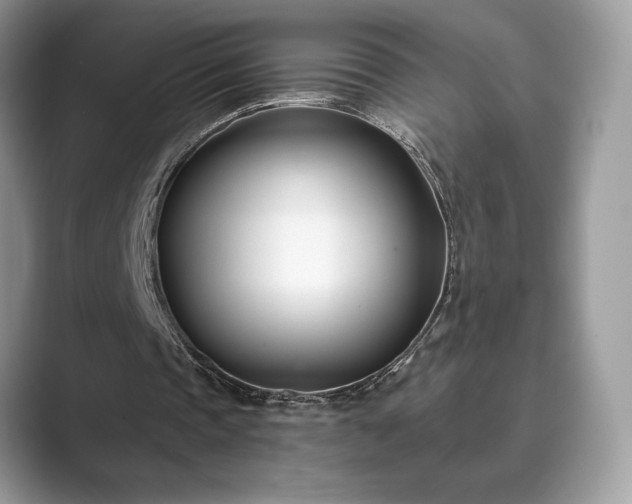 X0000089900337200707051312
