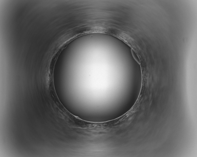 X0000089900338200707051312