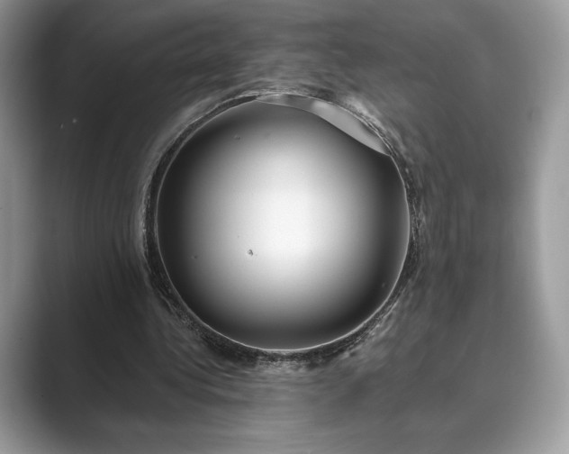 X0000089900340200707051312