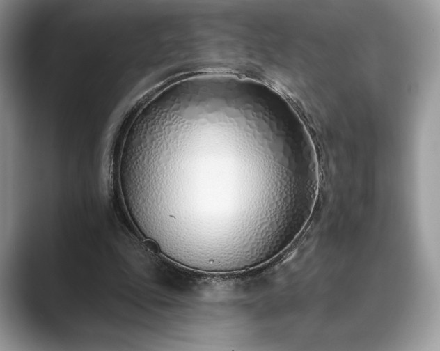 X0000089900343200707051312