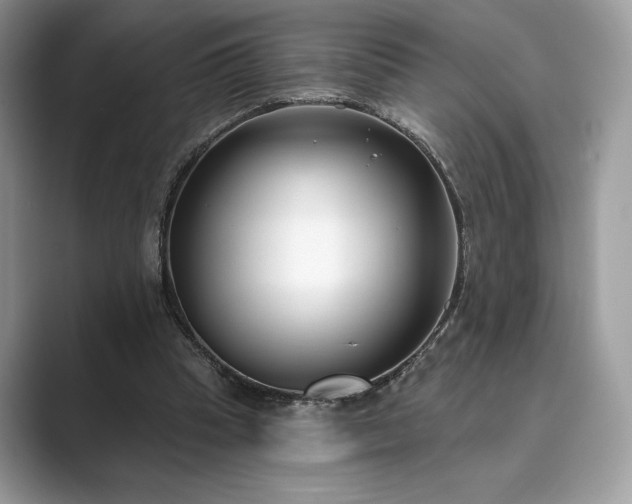 X0000089900345200707051312