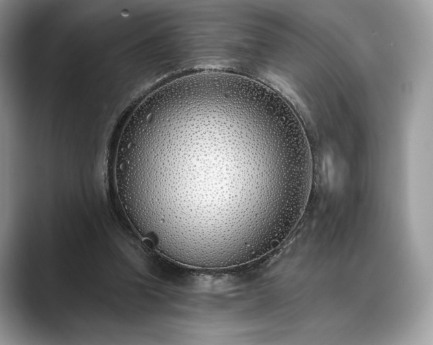 X0000089900346200707051312