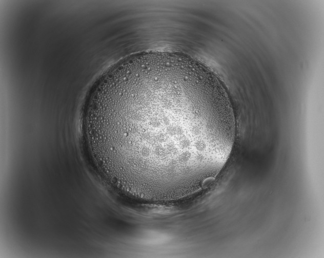 X0000089900347200707051312