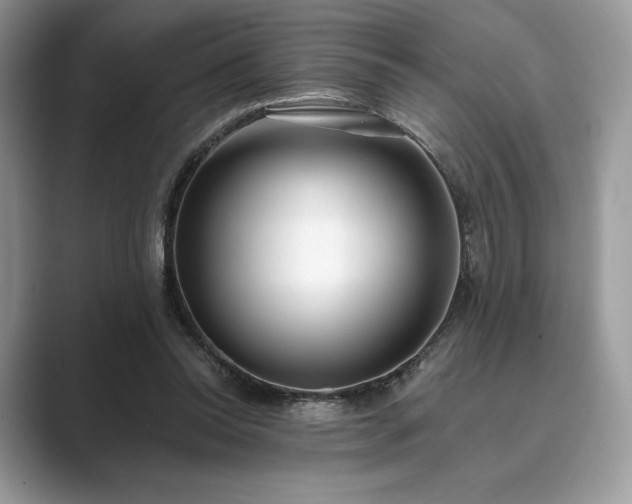 X0000089900350200707051312
