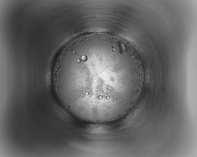 X0000089900351200707051312
