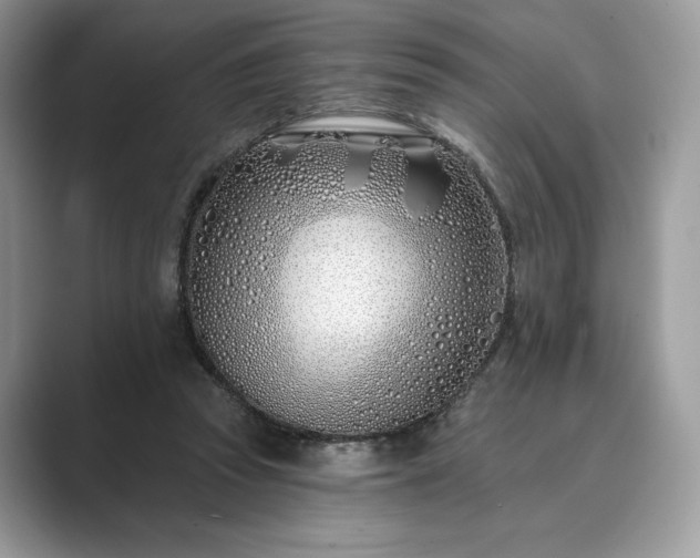 X0000089900353200707051312