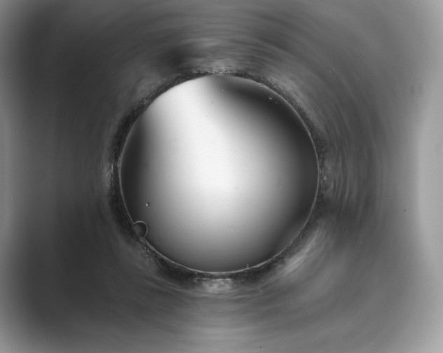 X0000089900355200707051312