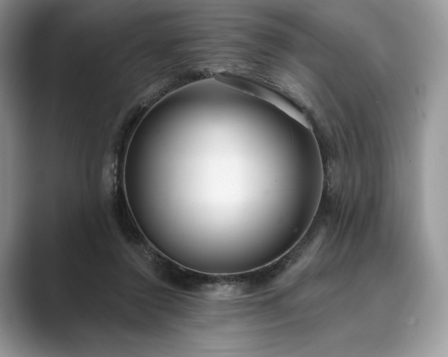 X0000089900356200707051312