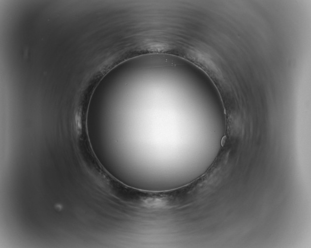 X0000089900358200707051312
