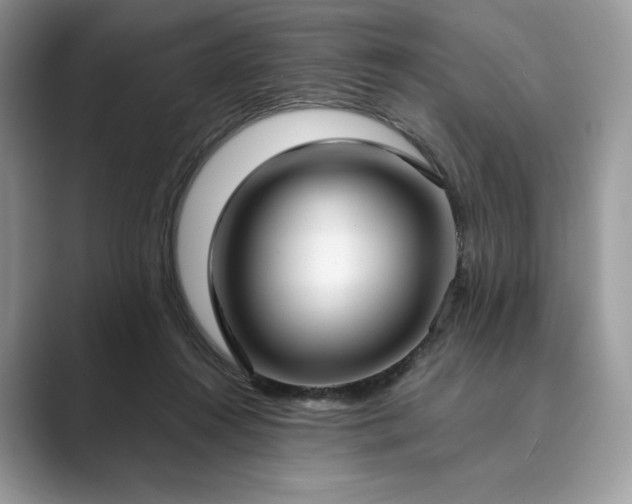 X0000089900360200707051312