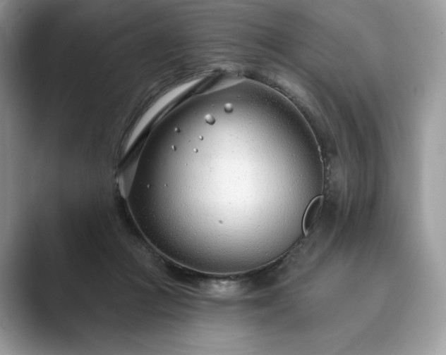 X0000089900361200707051312