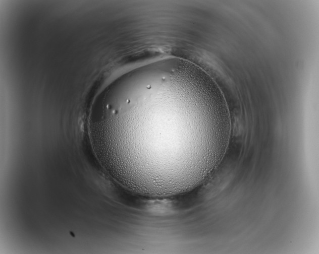 X0000089900363200707051312