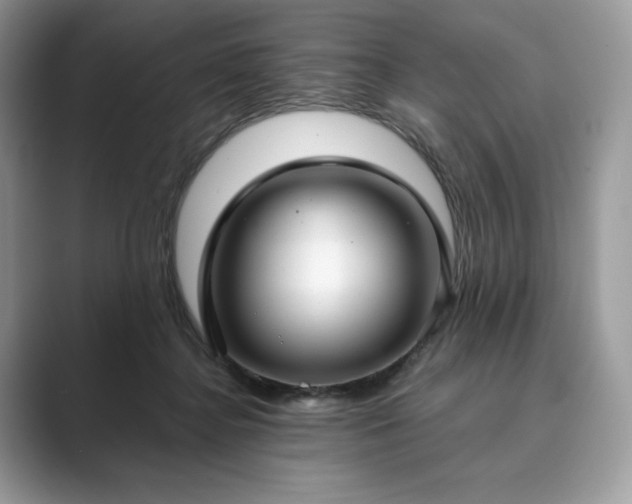 X0000089900364200707051312