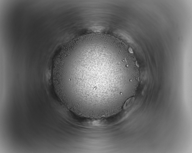 X0000089900365200707051312