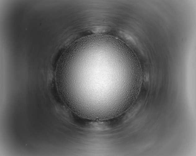 X0000089900367200707051312