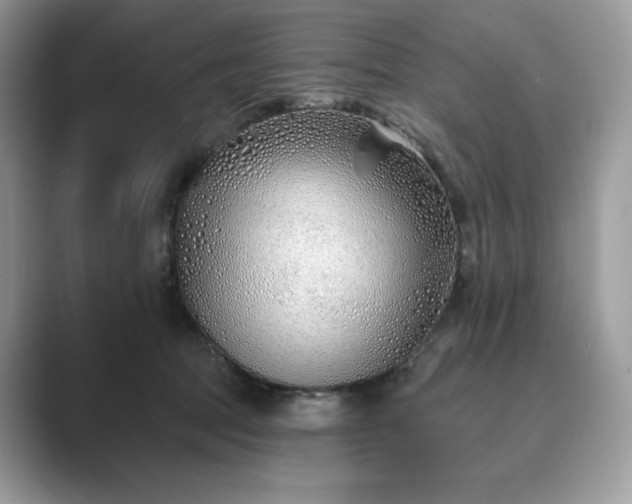 X0000089900369200707051312