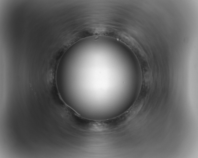X0000089900372200707051312