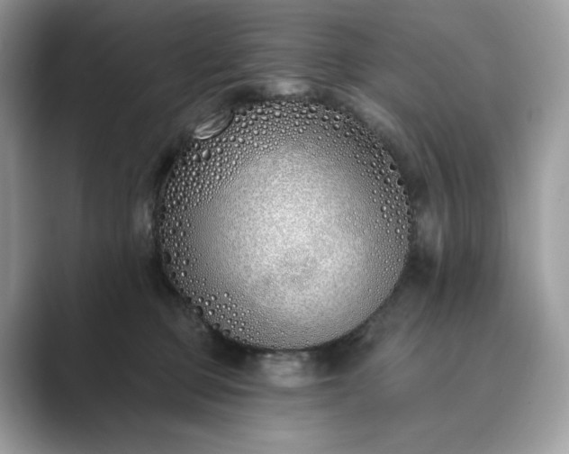 X0000089900373200707051312