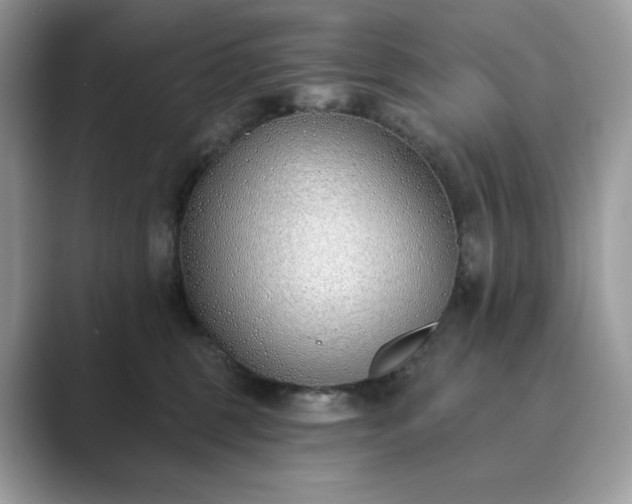 X0000089900375200707051312