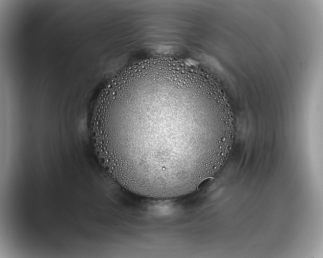 X0000089900377200707051312