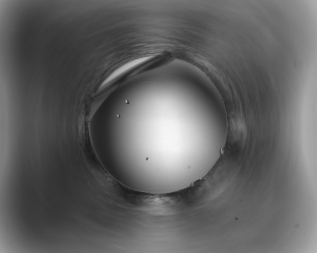 X0000089900379200707051312