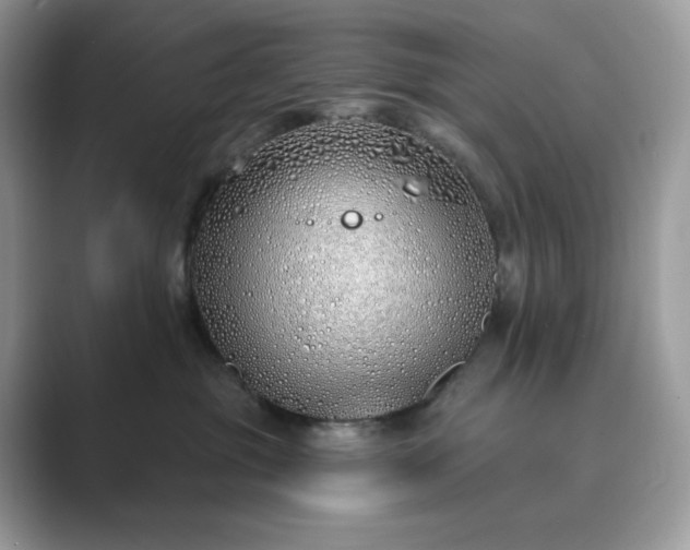 X0000089900381200707051312
