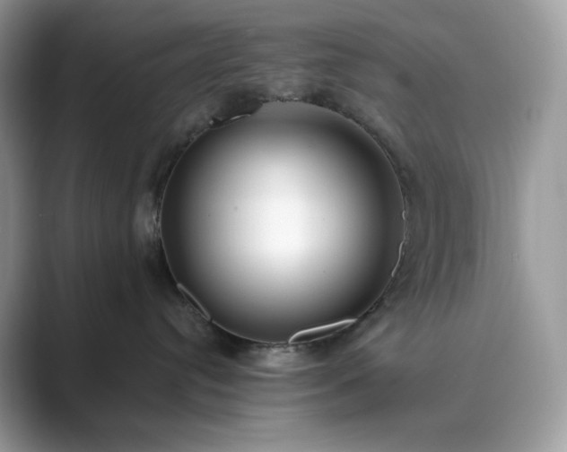 X0000089900384200707051312