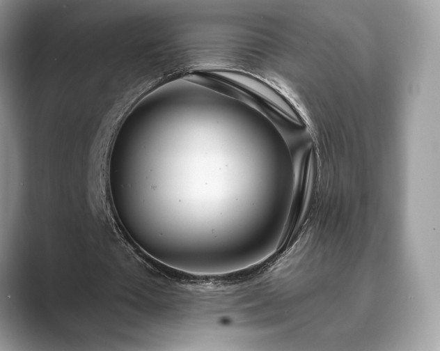 X0000089900385200707051312