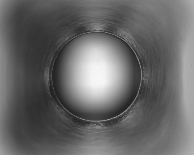 X0000089900386200707051312