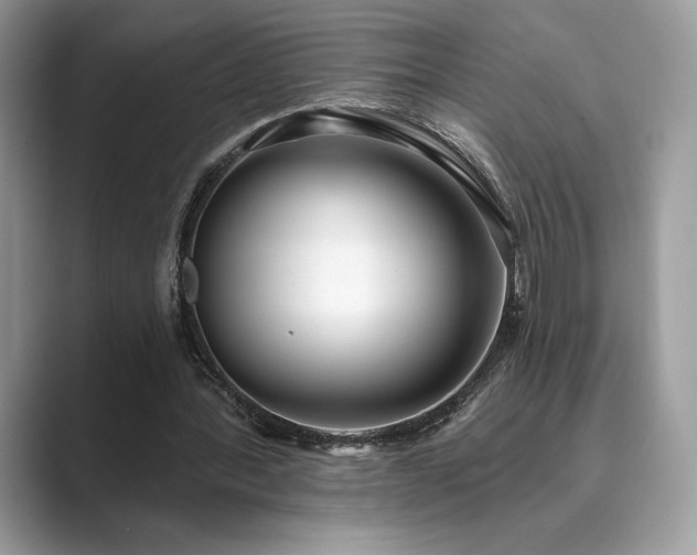 X0000089900388200707051311