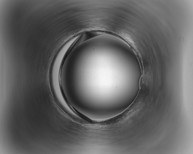 X0000089900389200707051311