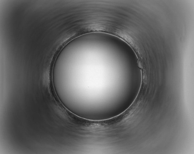 X0000089900390200707051311