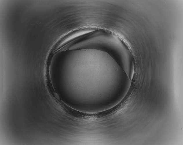 X0000089900391200707051311