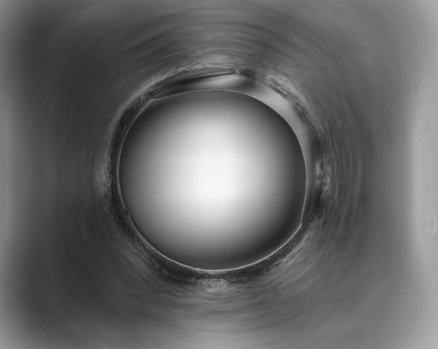 X0000089900392200707051311