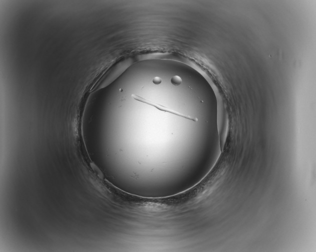 X0000089900393200707051311