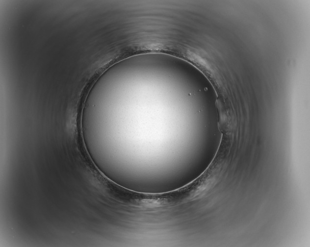 X0000089900394200707051311