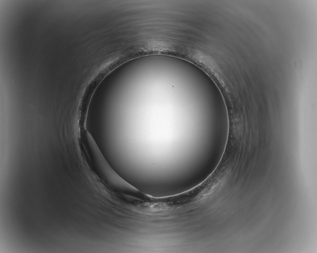 X0000089900395200707051311