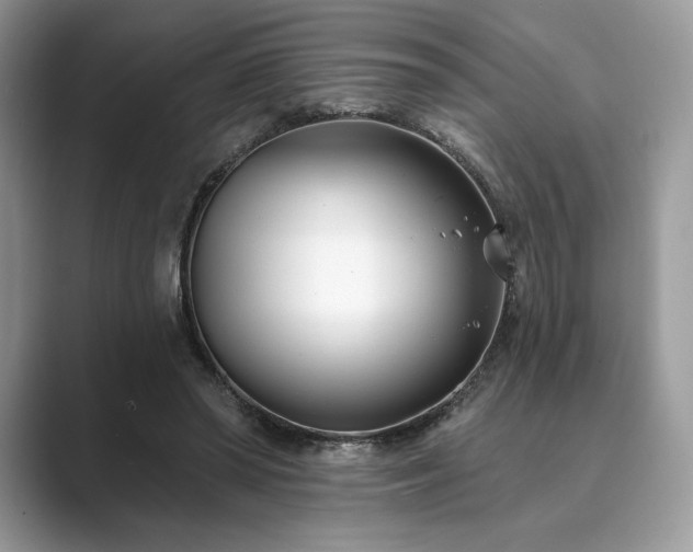 X0000089900398200707051311