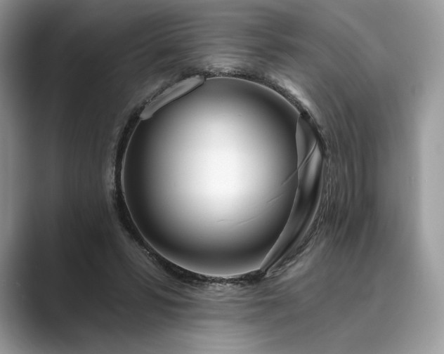 X0000089900399200707051311