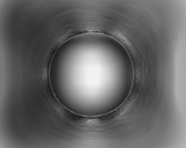 X0000089900401200707051311