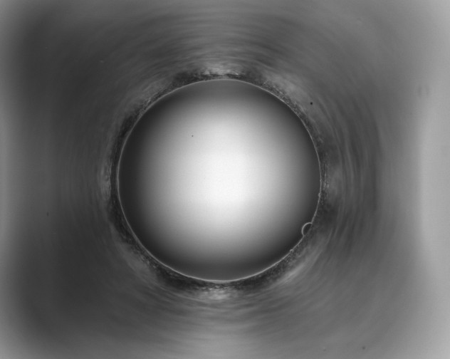 X0000089900402200707051311