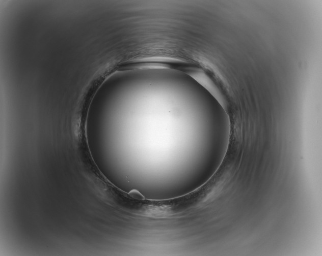 X0000089900403200707051311