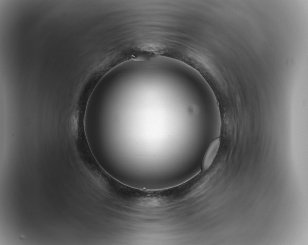 X0000089900404200707051311