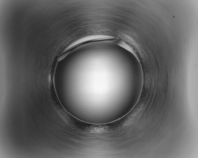 X0000089900405200707051311