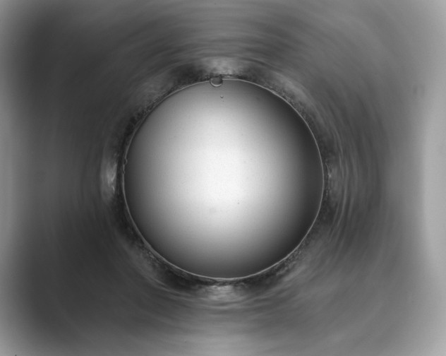 X0000089900406200707051311
