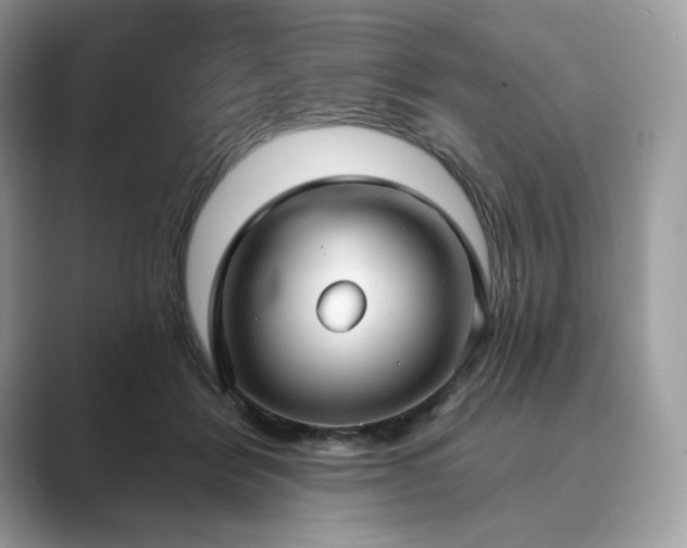 X0000089900412200707051311