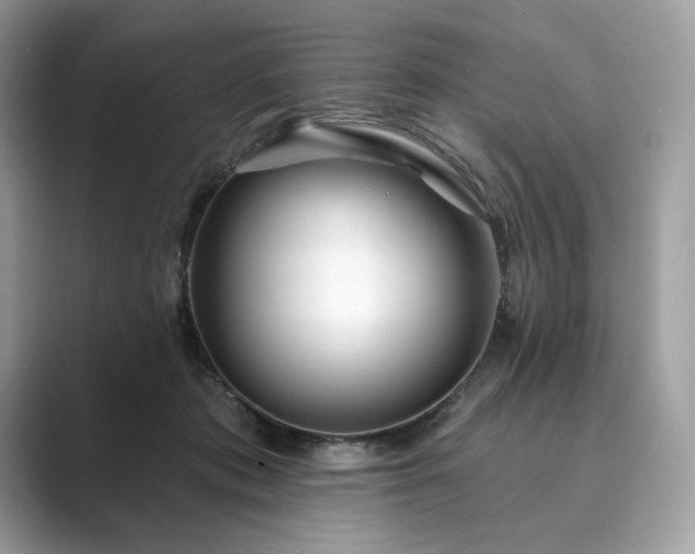 X0000089900413200707051311