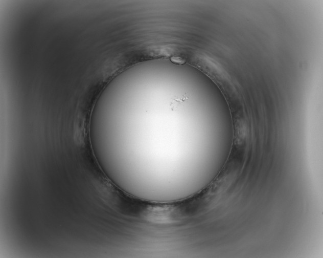 X0000089900414200707051311